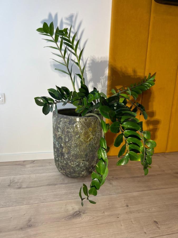 Sofia Apartment & Zimmer Sillweg Naehe Rebull Ring Fohnsdorf Εξωτερικό φωτογραφία